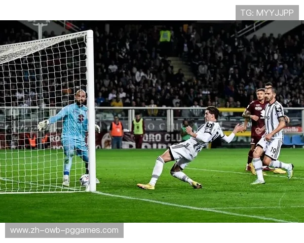 意甲球队球馆图片高清展示及设施介绍