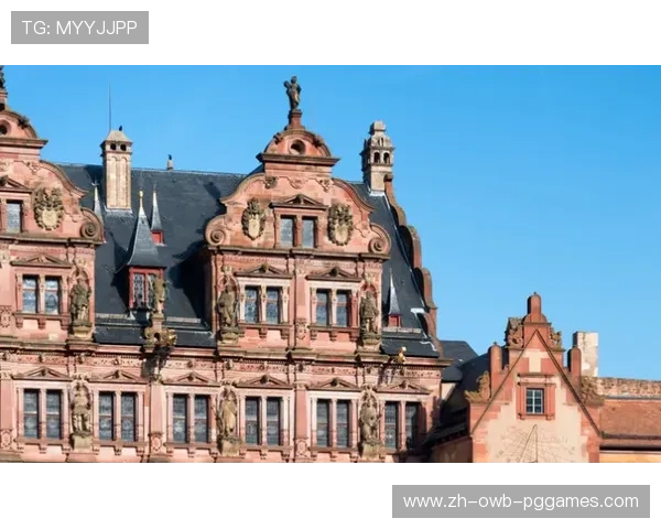 海德堡有德甲球队吗？城市与职业足球的关系